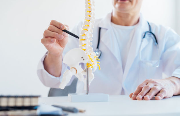 A doctor explaining a spine model during a bone and joint consultation at an Orthopedic Clinic in Sharjah.
