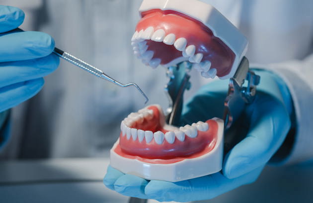 A dental professional demonstrating proper dental care techniques at a Dental Clinic in Sharjah.