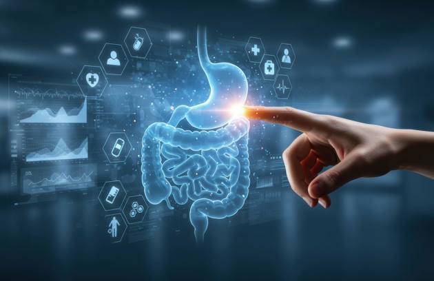 A digital digestive system illustration highlighting stomach and intestines for expert care at a Gastroenterology Clinic in Sharjah.