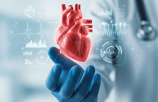A digital heart illustration highlighting advanced diagnosis and Cardiology Services in Sharjah.