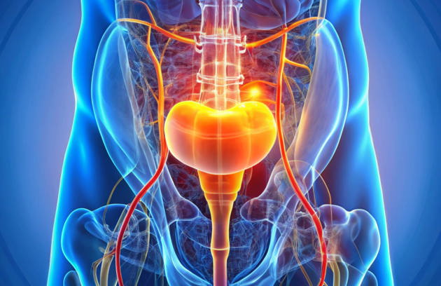 Urology1