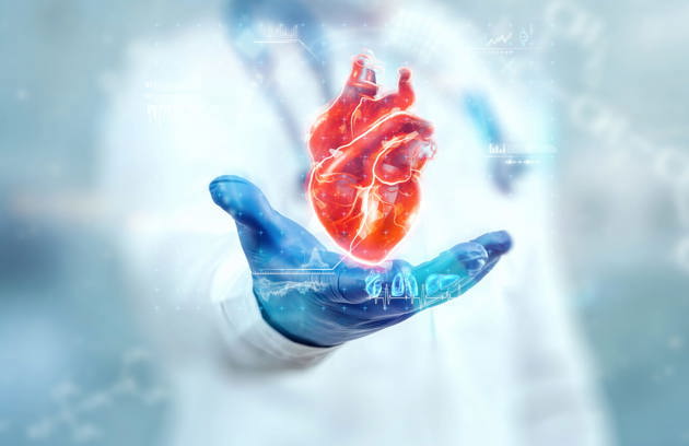 A Cardiologist in Sharjah explaining heart health using advanced medical visualization during a patient consultation.